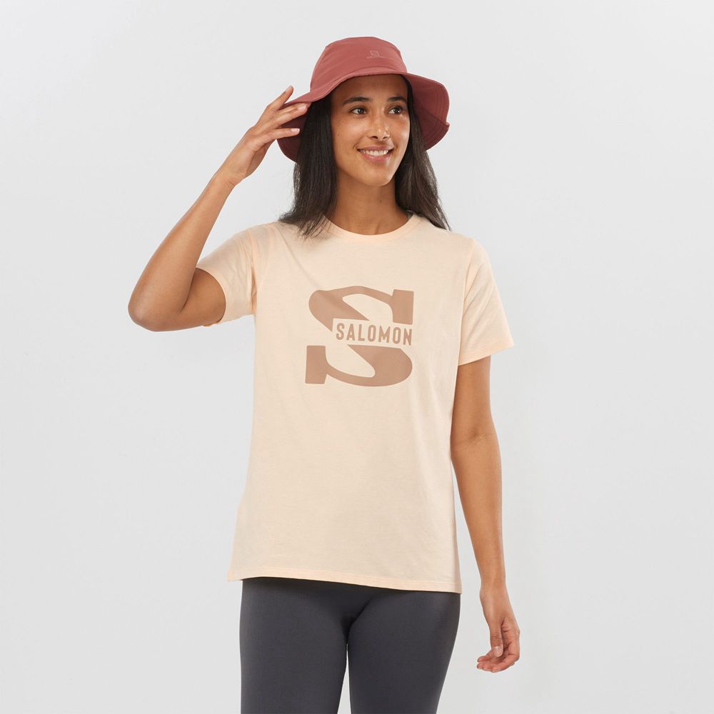 Salomon T-Shirts Dame Beige - OUTLIFE BIG LOGO (ANWPS-5826)